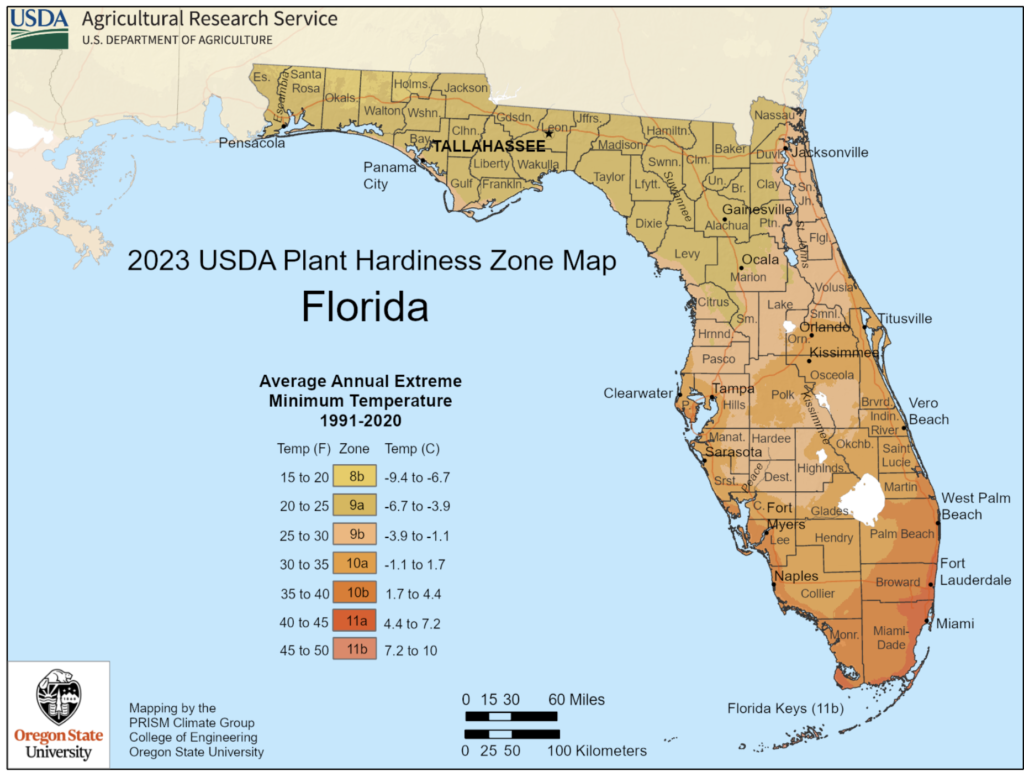 new plant hardiness zone map of Florida 